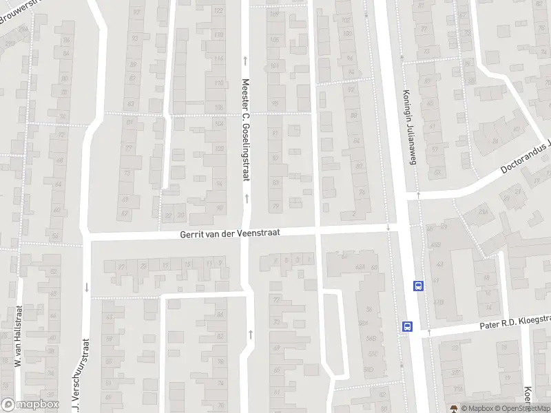 Overlastmelding Meester C. Goselingstraat in Best