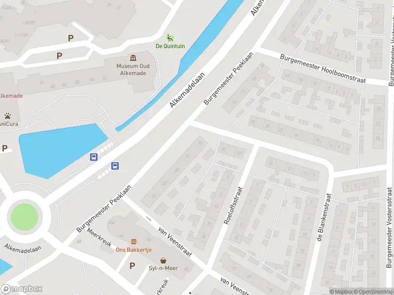 Overlastmelding Burgemeester Peeklaan in Oude Wetering