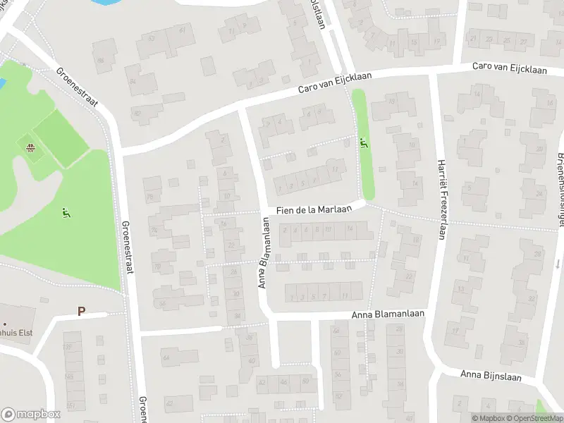 Overlastmelding Fien de la Marlaan in Elst