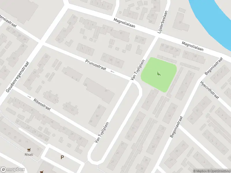Overlastmelding Van Tuyllplein in Doesburg