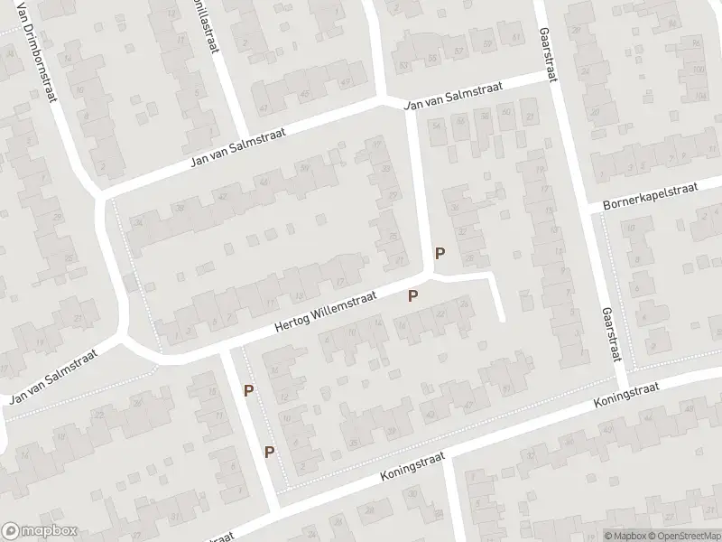 Overlastmelding Heer Ottostraat in 6121NB Born gesloten