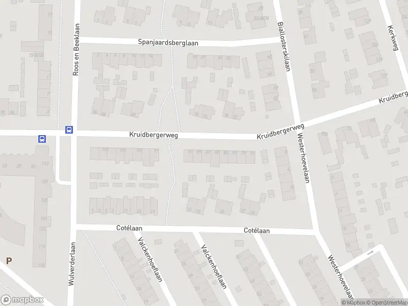 Overlastmelding Kruidbergerweg in Santpoort-Noord