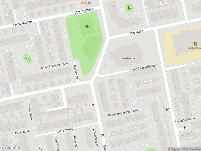 Overlastmelding Nassaulaan in Rijnsburg