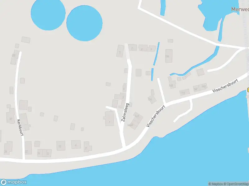 Ambulance met grote spoed naar de Zalmsteeg in Papendrecht