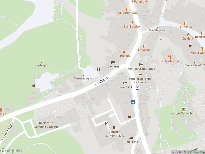 Brandweer met gepaste spoed naar de Cauberg in Valkenburg
