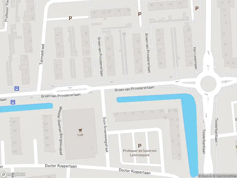 Anonieme overlastmelding Groen van Prinstererlaan in Waalwijk