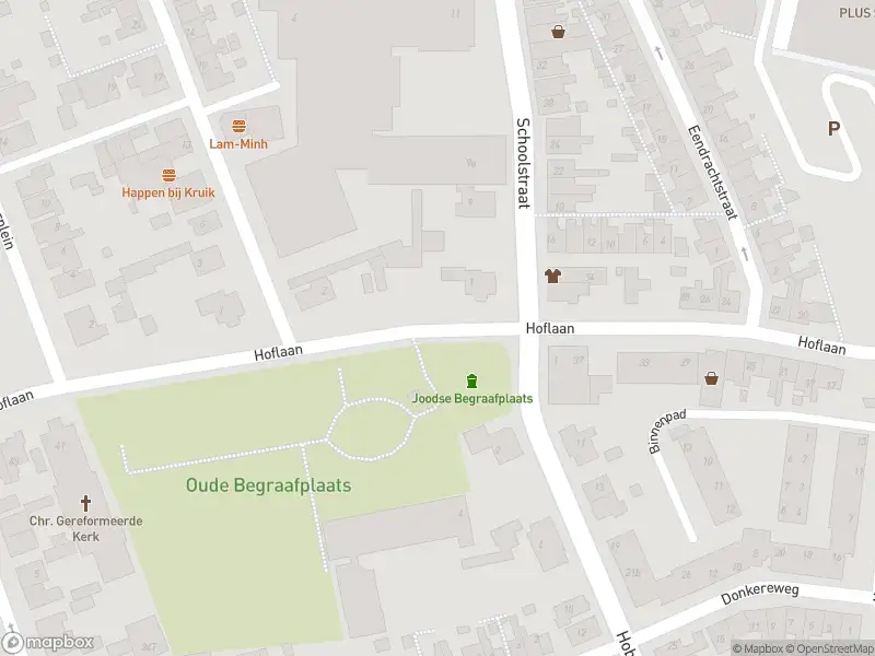Overlastmelding Eendrachtstraat in 3241CD Middelharnis