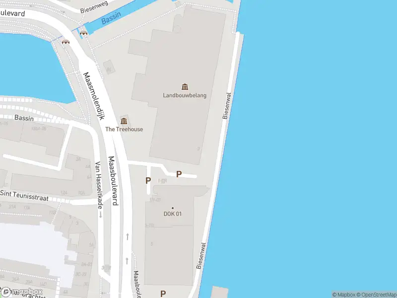 Brandweer met gepaste spoed naar de Biesenwal in Maastricht