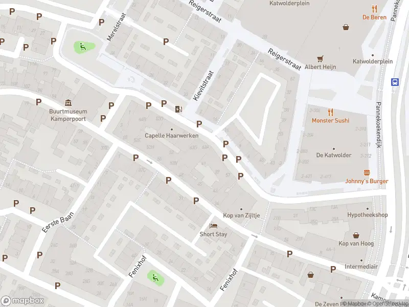 Brandweer met gepaste spoed naar de Nachtegaalstraat in Zwolle