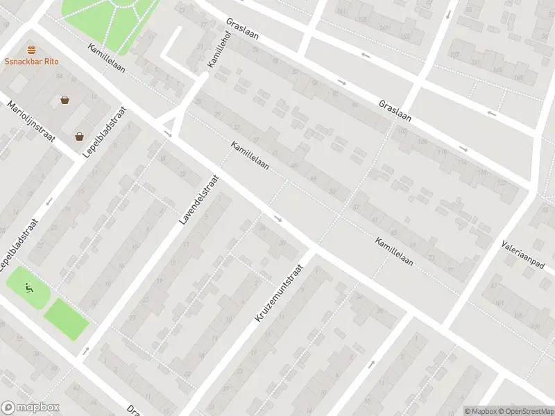 Politie naar de Ganzerikstraat in Arnhem vanwege aanrijding met letsel