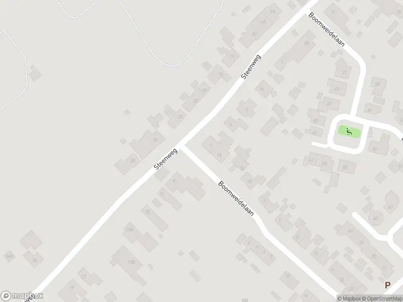 Overlastmelding Steenweg in 4423AM Schore