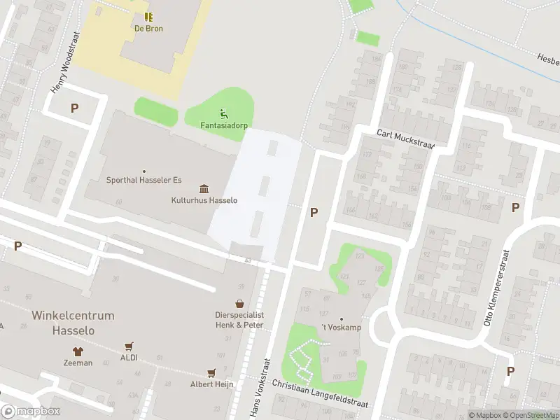 Politie naar de Henry Woodstraat in Hengelo vanwege aanrijding met letsel