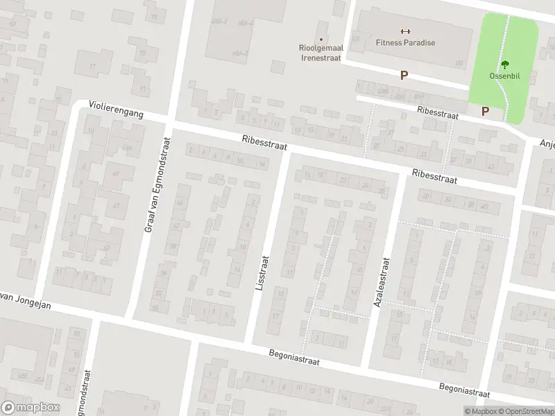 Overlastmelding Lisstraat in Oud-Beijerland