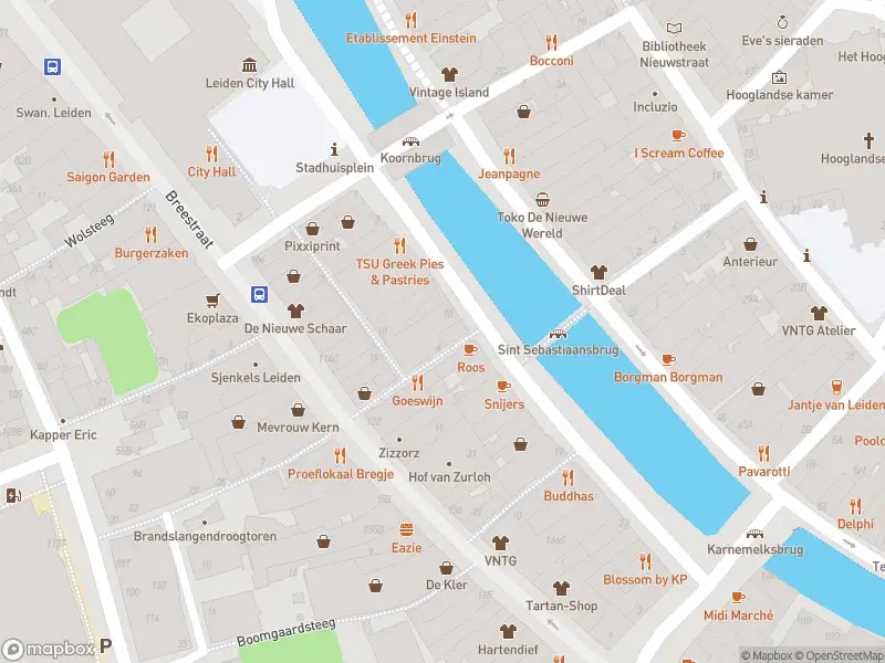Ambulance met gepaste spoed naar de Levendaal in Leiden