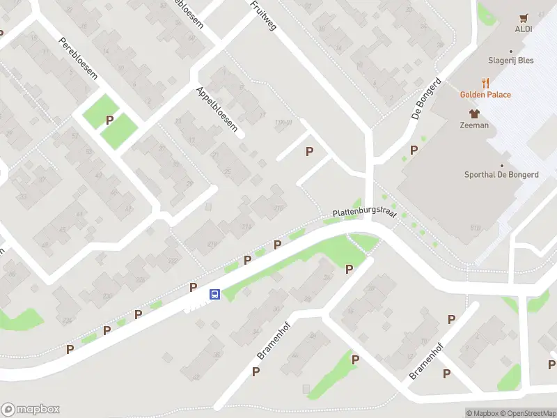 Overlastmelding Plattenburgstraat in Doetinchem