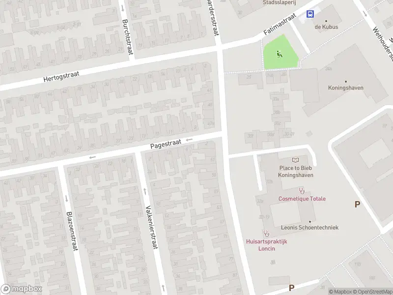 Overlastmelding met urgentie Pagestraat in Tilburg