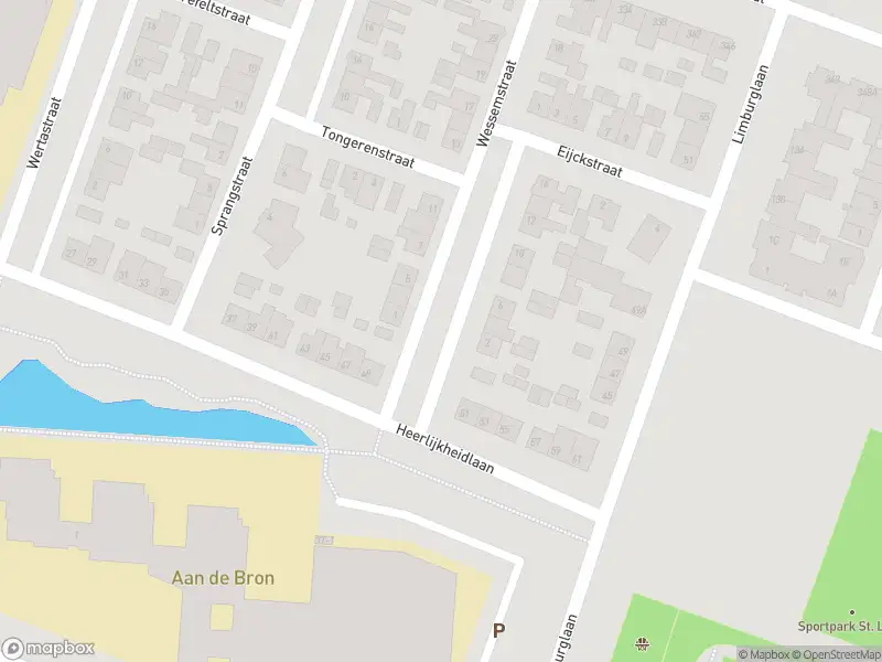 Ambulance met gepaste spoed naar de Wessemstraat in Weert