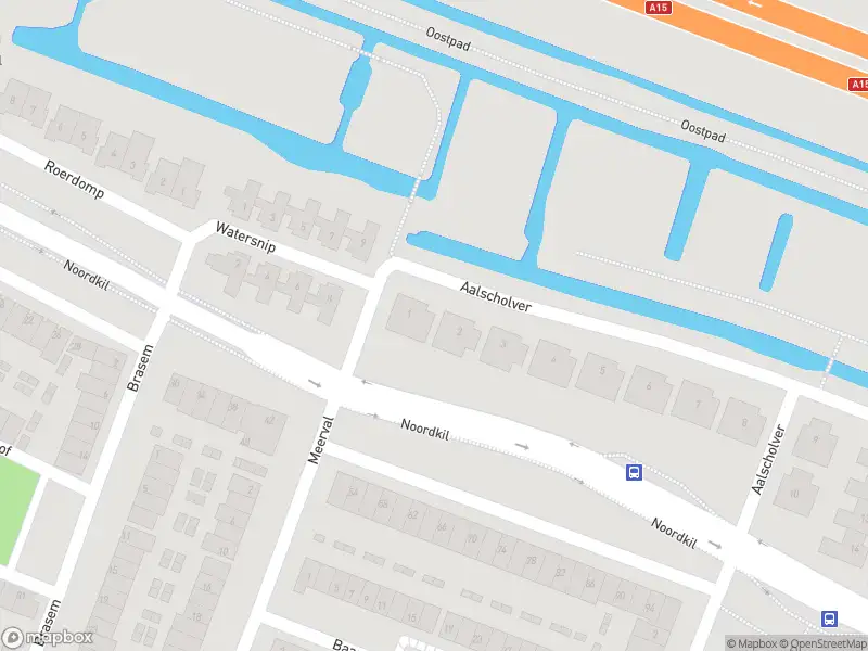 Ambulance met grote spoed naar de Aalscholver in Papendrecht