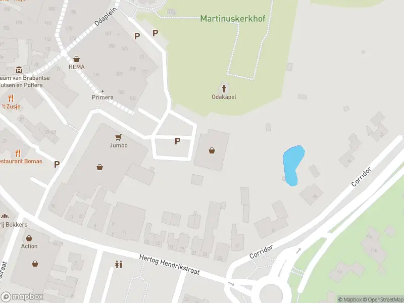 Politie naar de Hertog Hendrikstraat in Sint-Oedenrode vanwege ongeval met letsel