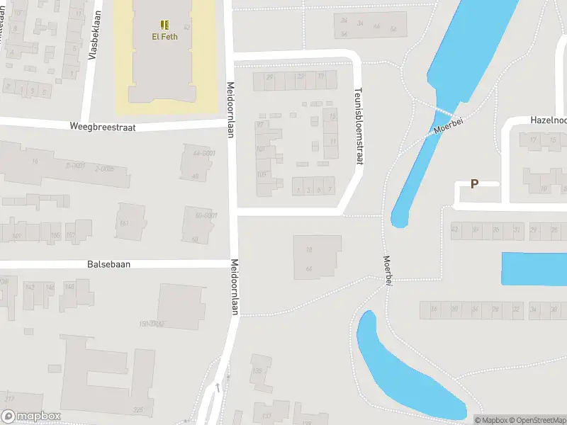 Brandweer met gepaste spoed naar de Teunisbloemstraat in Bergen op Zoom