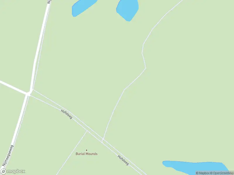 Brandweer met gepaste spoed naar de Sint Walrickweg in Overasselt vanwege stormschade