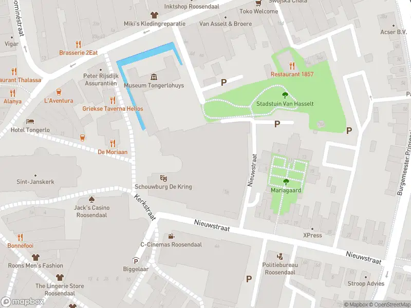 Politie met grote spoed naar de Brugstraat in Roosendaal vanwege letsel