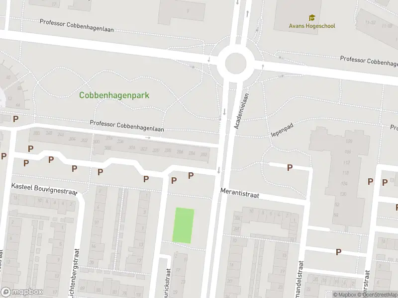 Overlastmelding Prof. Cobbenhagenlaan in Tilburg