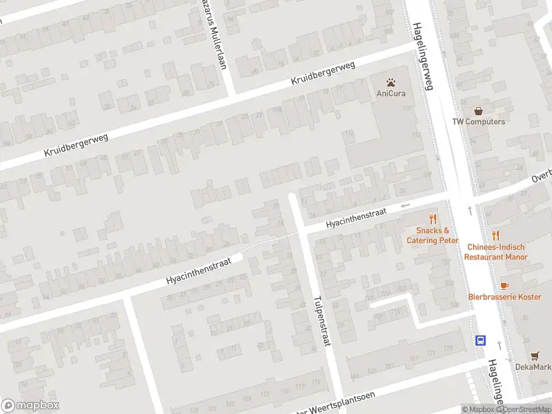 Anonieme overlastmelding Tulpenstraat in Santpoort-Noord