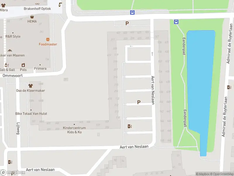 Overlastmelding Aert van Neslaan in Oegstgeest