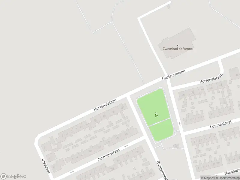 Overlastmelding Hortensialaan in Hippolytushoef