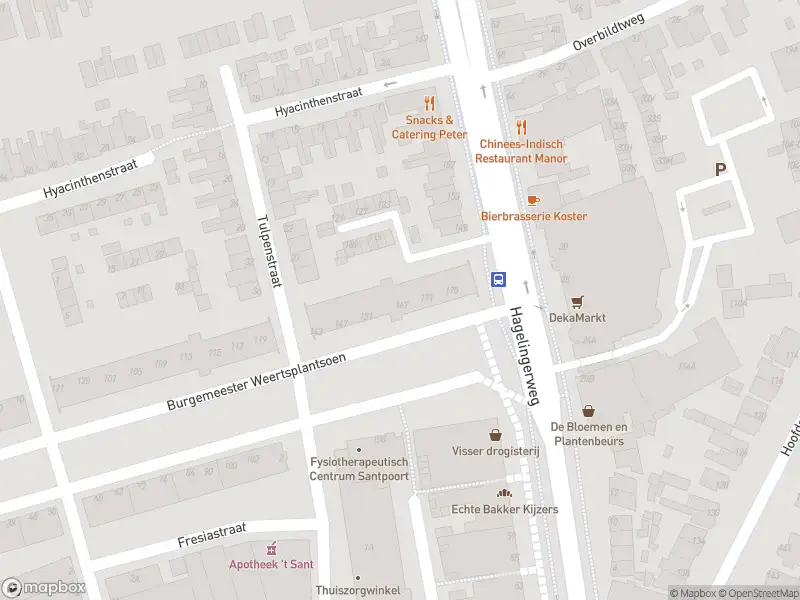 Overlastmelding Burgemeester Weertsplantsoen in Santpoort-Noord