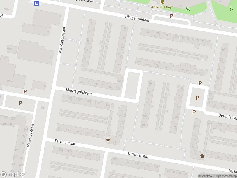 Anonieme overlastmelding Mascagnistraat in Tilburg gesloten