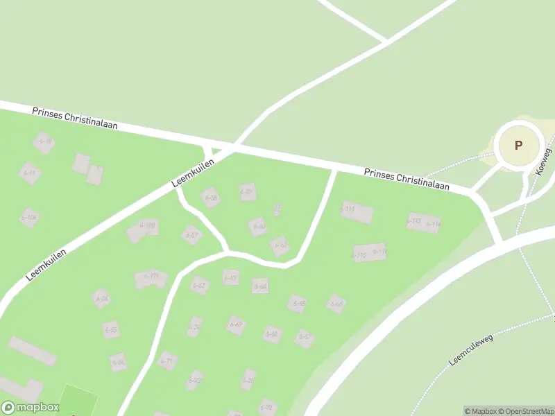 Politie naar de Prinses Christinalaan in Hattem vanwege aanrijding met letsel