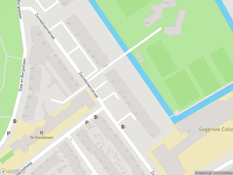 Overlastmelding Zonnebloemstraat in 's-Gravenhage