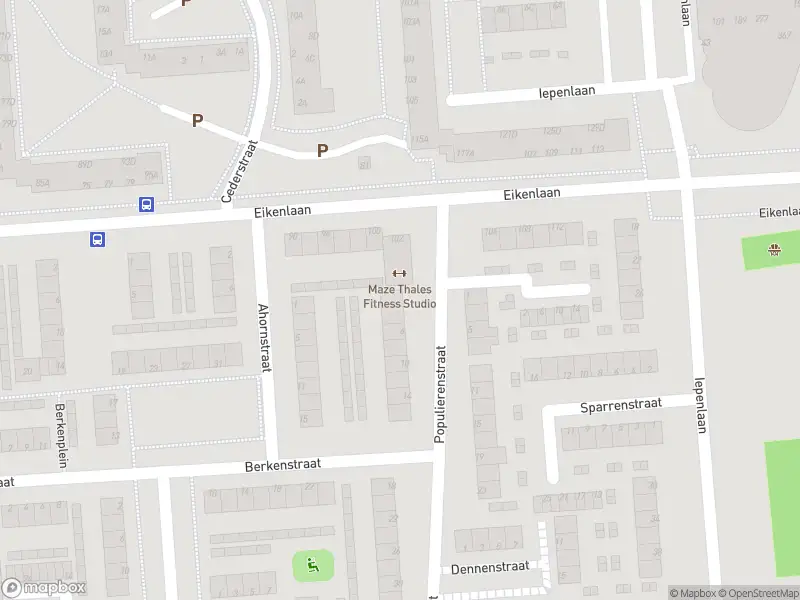 Ambulance met gepaste spoed naar de Populierenstraat in Spijkenisse