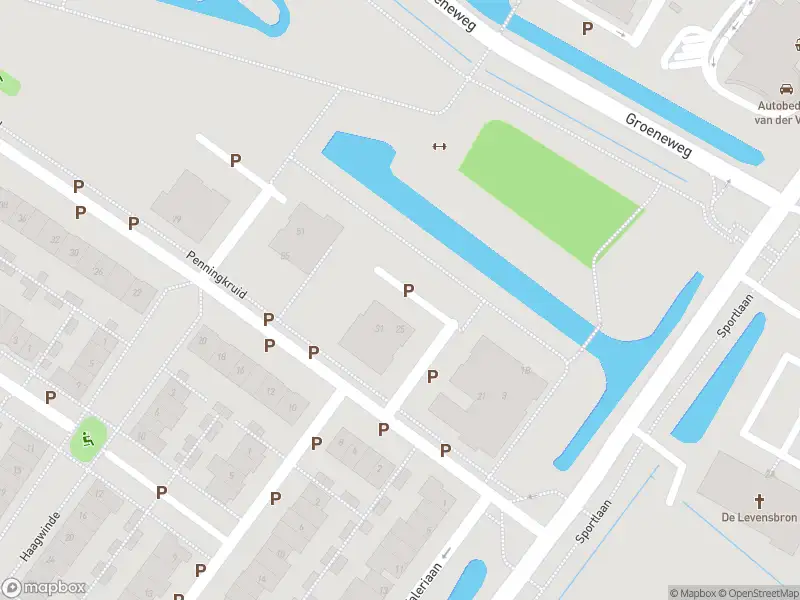 Overlastmelding Penningkruid in Puttershoek gesloten
