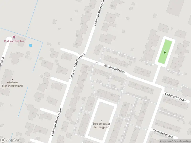 Ambulance met gepaste spoed naar de Eendrachtslaan in Mijnsheerenland