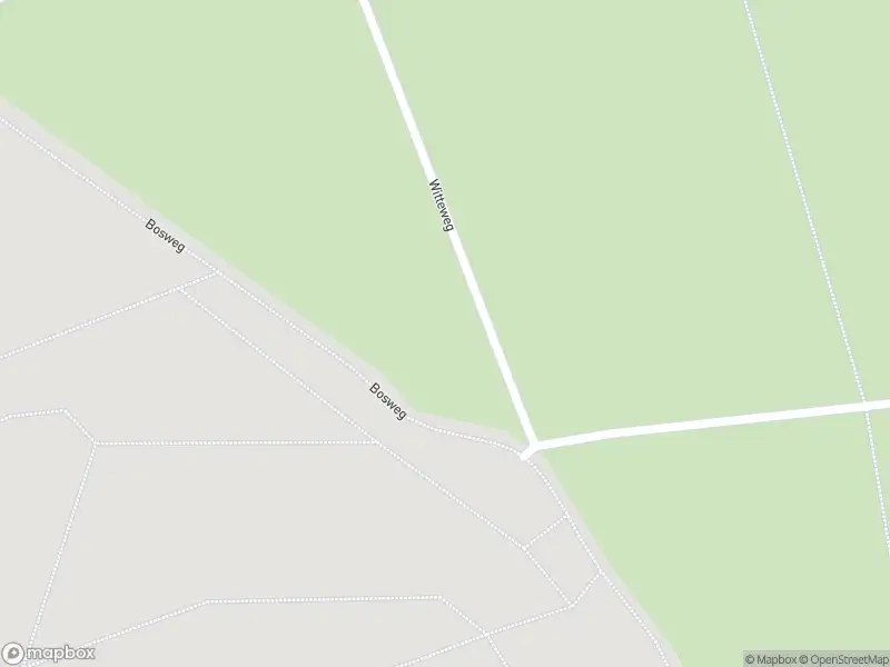 Politie naar de Randwijksingel in Malden vanwege aanrijding met letsel