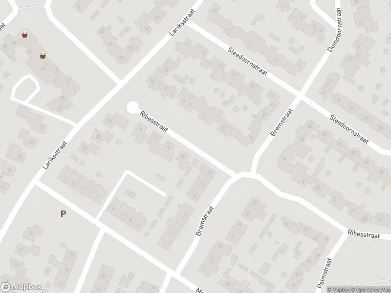 Overlastmelding Ribesstraat in Echt