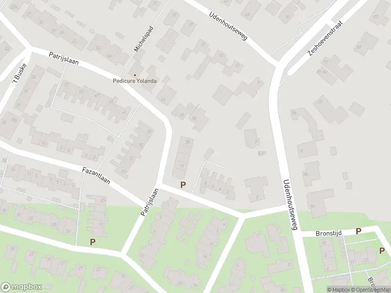 Overlastmelding Patrijslaan in Berkel-Enschot