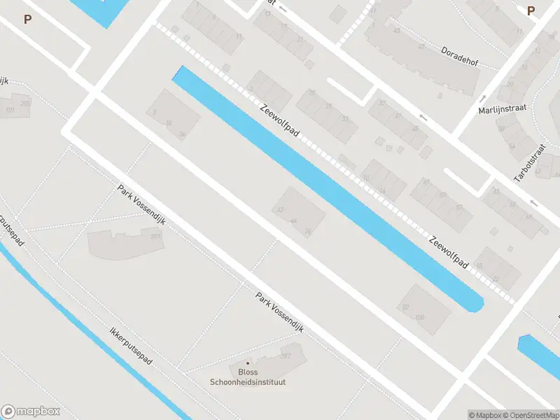 Ambulance met grote spoed naar de Park Vossendijk in Hoogvliet Rotterdam