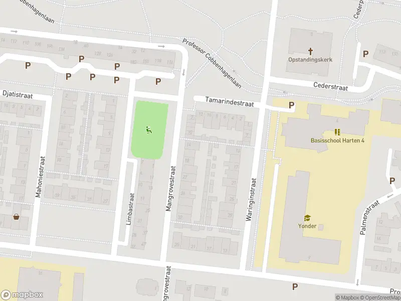 Politie met grote spoed naar de Cederstraat in Tilburg vanwege schietincident