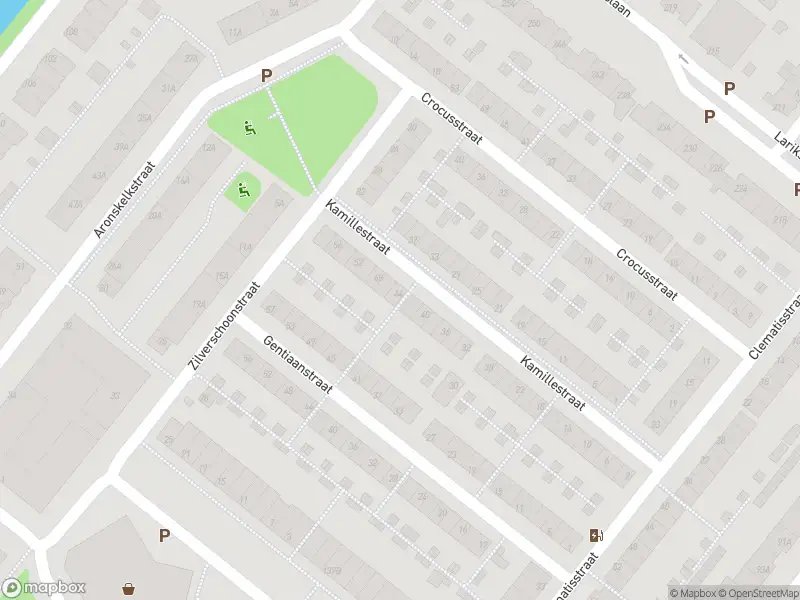 Ambulance met grote spoed naar de Kamillestraat in Rotterdam