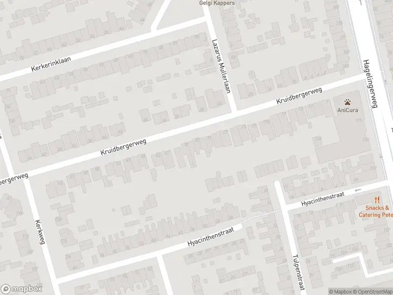 Ambulance met gepaste spoed naar de Hyacinthenstraat in Santpoort-Noord