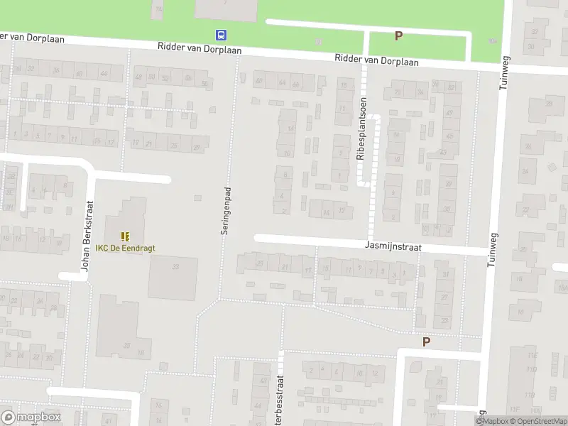Overlastmelding Seringenpad in Zuid-Beijerland