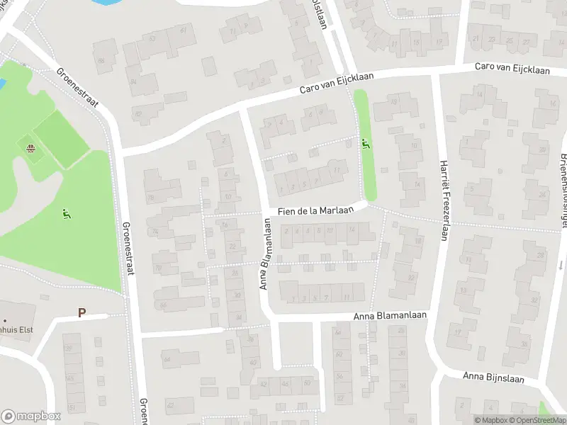 Overlastmelding Fien de la Marlaan in Elst gesloten