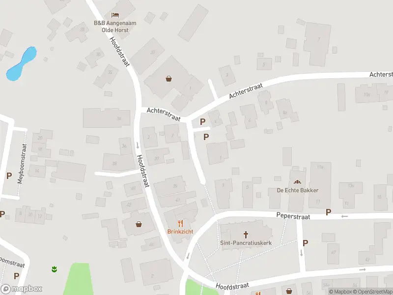 Brandweer met gepaste spoed naar de Peperstraat in Diever vanwege wateroverlast