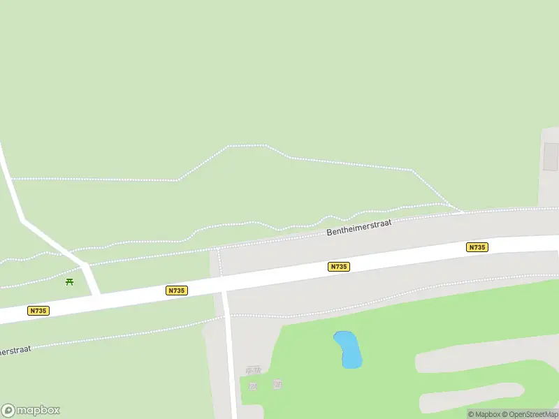 Politie naar de Bentheimerstraat in De Lutte vanwege aanrijding met letsel