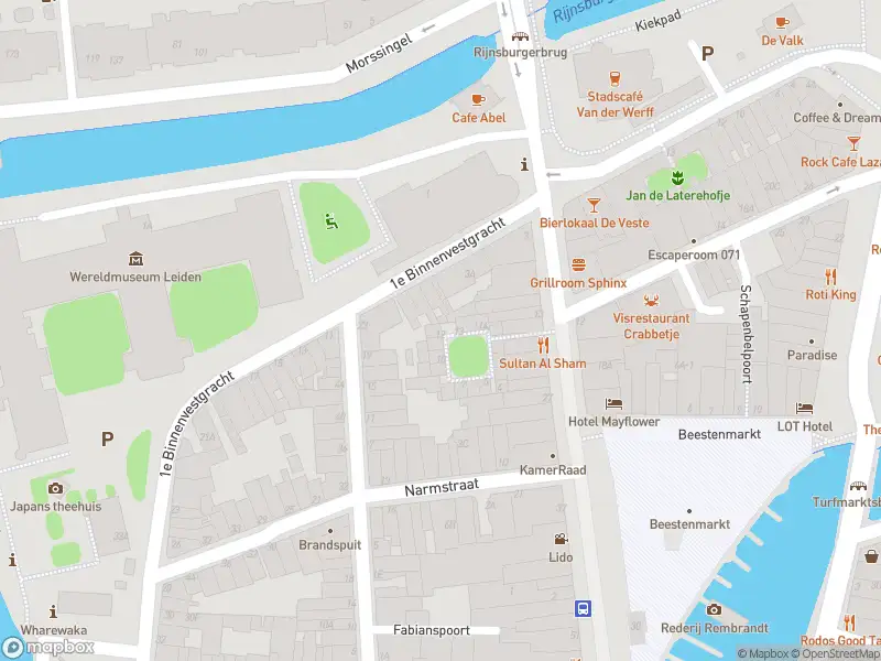 Ambulance met gepaste spoed naar de Steenstraat in Leiden