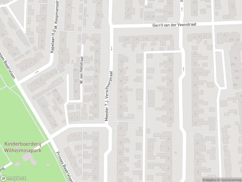 Overlastmelding Meester T.J. Verschuurstraat in Best